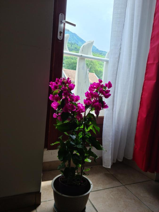 Appartement Route De Cursinges Cervens Zewnętrze zdjęcie